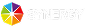 Synergy Logo